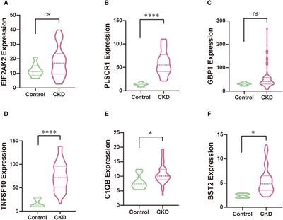 Deciphering the molecular nexus between Omicron infection and acute kidney injury: a bioinformatics approach